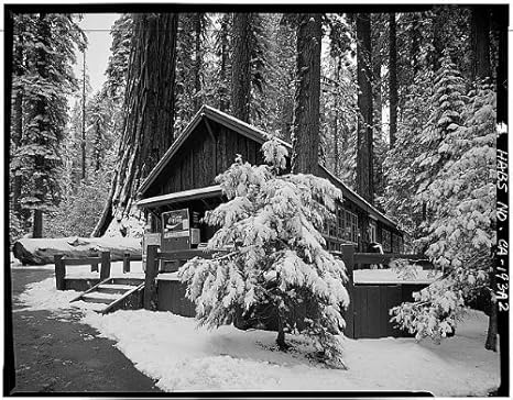 Amazon Com Photo Giant Forest Lodge Historic District Three