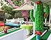 Green Cactus Foil Balloons,4 Count,Boy Girl Birthday Party Ornament