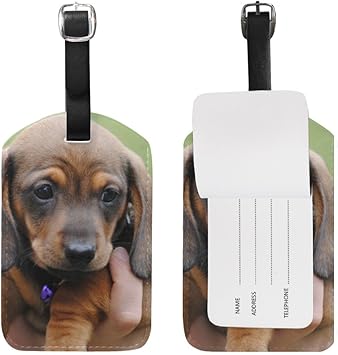 dachshund luggage set