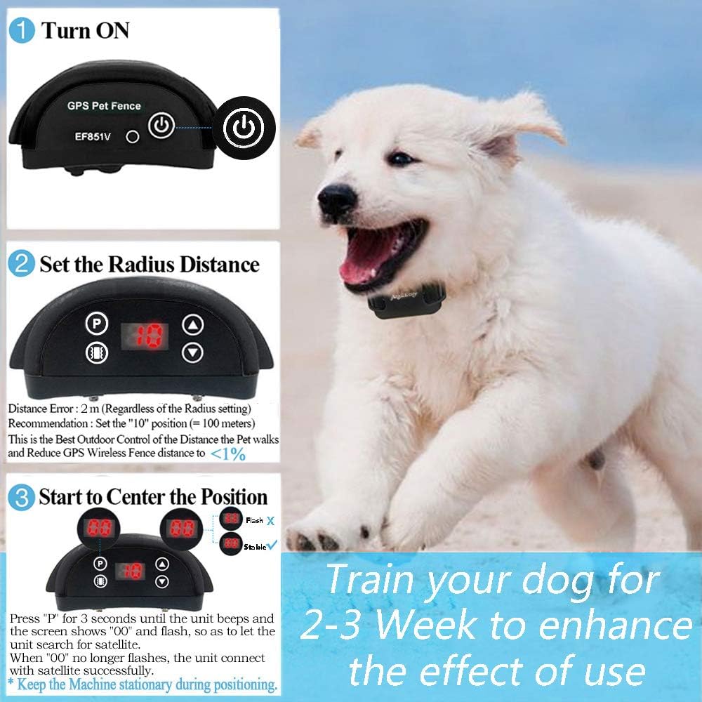 angelakerry wireless dog fence system