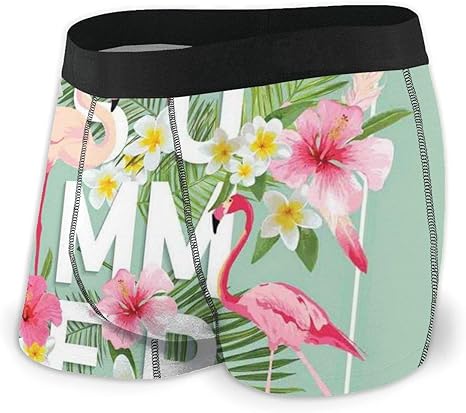 Web--ster Calzoncillos bóxer para Hombre Ropa Interior, Collage de