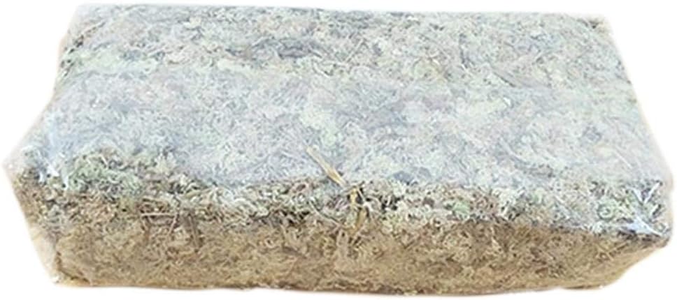 6L Dry Moss Water Grass Water Moss Substrates for Orchid Phalaenopsis
