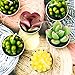 Glarks Cute Tea Lights Tealight Candles, Succulent Cactus for Birthday Party Valentine's Day Wedding Spa Home Decor and DIY Gift, 12Pcs a Pack