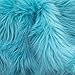 The Fabric Exchange Luxury Yard (F.E. (Turquoise) Shag 60 Inch Fabric