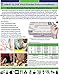GREAT GLOVE NM60015-L-BX Vinyl Industrial Grade Foodservice Glove, 4 mil, Lightly Powdered, Latex-Free, Allergy-Free, Smooth, Economical, Food Safe (FDA 21 CFR 170-199), Clear, Large (Pack of 100)