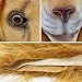 CreepyParty Novelty Halloween Costume Party Animal Head Mask King Lion (Lion new)