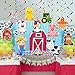 Farm Birthday Party Supplies,Hanging Swirls Barnyard Party Decorations for Barnyard Birthday Party Supplies Farm Animal Party Supplies