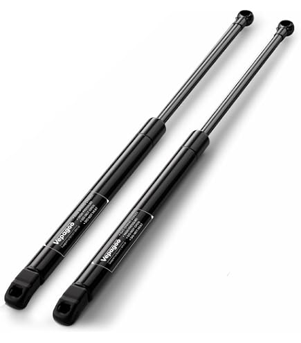 Amazon.com: RCNHRDS Car Trunk Lid Lift Support for Toyota Voxy