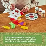 Rainbow Eco Play Craft Bioglitter 20g Silver Biodegradable Glitter view 3