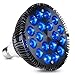 HIGROW LED Aquarium Blue Light Blub, 18W (36W Equivalent) LED Plant Grow Light Bulb with 450-460nm Blue LEDs for Indoor Plants Veg and Aquarium Plants Growing