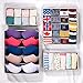 MIU COLOR Foldable Closet Underwear Organizer Drawer Divider Storage Boxes Under Bed Organizer 4 Set for Underwear, Bras, Socks, Ties, Scarves