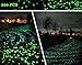 KLEMOO Glow in the Dark Pebbles 200 PCS, Artificial Decorative Stones Rocks for Walkways and Aquarium in Green, Create Glowing “Starry Night” Garden