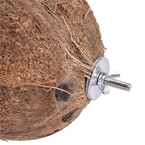 image for Hypeety Pet Bird Breeding Nest Coconut House Swing Ladder Toys Parrot 