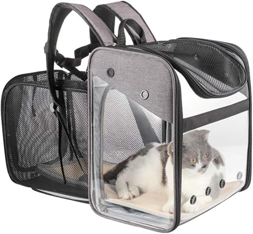 transparent cat bag