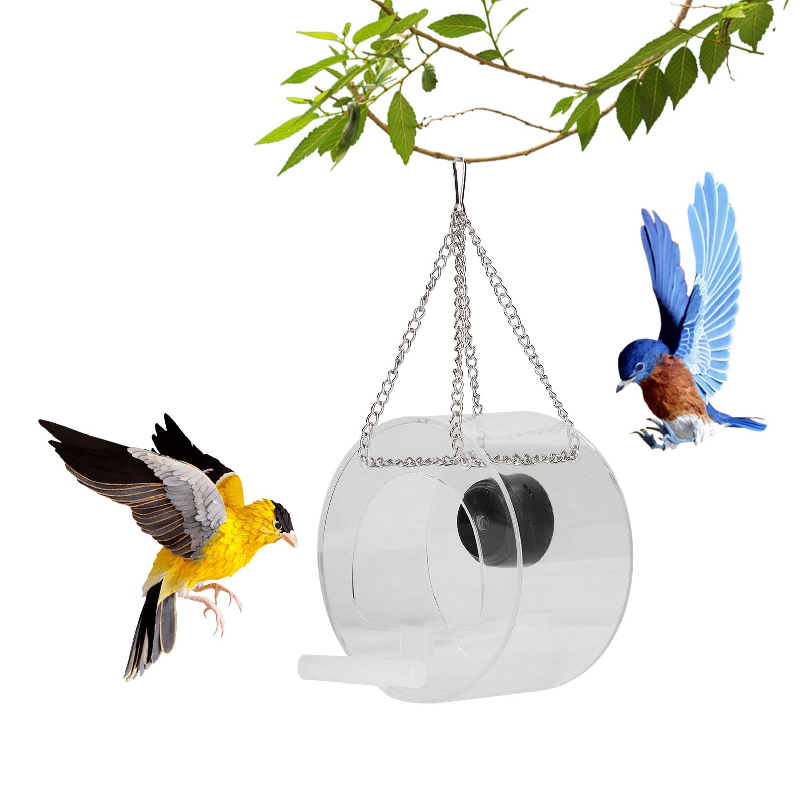 KENANLAN Smart Bird Feeder with Camera, Bird Feeder with Real Time Monitoring, Bird Feeders for Outdoors Hanging(Round)