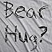 Mens Grizzly Bear Flip T Shirt Funny Hug Shirt Humorous Novelty Tee Crazy Humor Mens Funny T Shirts Flip T Shirt for Men Funny Animal T Shirt Novelty Tees Light Grey L