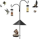 EasyGo Product Squirrel Proof Bird Feeder Wild Bird