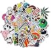 Stickers [100 Pcs], Leyaron Car Stickers Bicycle Luggage Stickers for Laptop