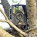 GordVE KG801 Waterproof Trail Camera 12MP 1080P HD Infrared Night Vision Wildlife Hunting Cam Infrared Scouting Camera