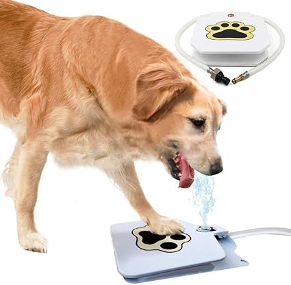 dog drinking dispenser