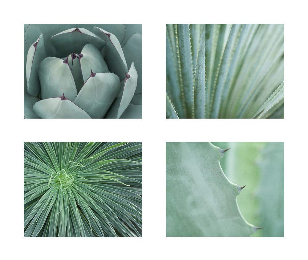 Free Green Floral Background Wallpaper 5x7 Amazon.com: Abstract Green Floral Wall Art, Botanical Flower Decor, Set