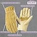Women's Leather Work and Garden Gloves, Heavy Duty Grain Cowhide, Medium (Wells Lamont 1124M) , Tan