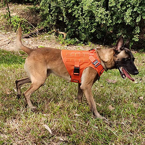 Orange tactical dog harness Clearance