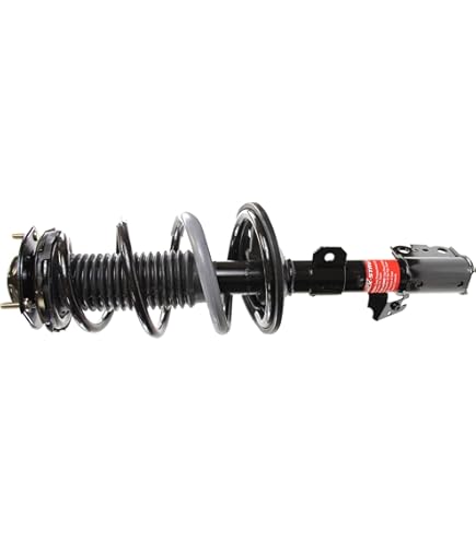 Amazon.com: Monroe Quick-Strut 271495 Suspension Strut and Coil