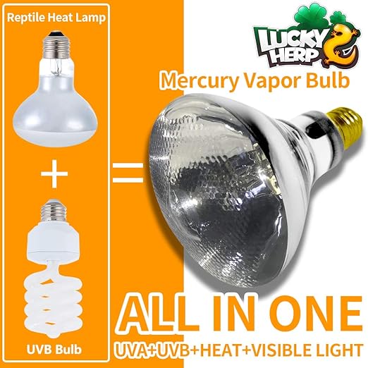 mercury vapor uvb bulb