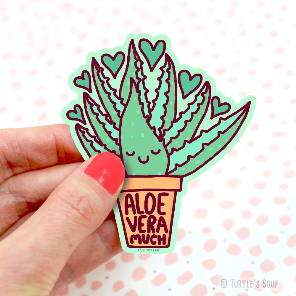 Amazon Com Quirky Stickers Aloe Vera Much Gift For Kids I Love