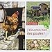J'élèverais bien des poules ! by