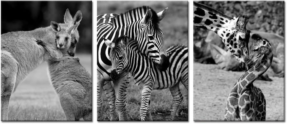 Welmeco Black and White Wildlife Animals Wall Art Decor Lovely Mommy and Baby Giraffe Kiss Zebra Kangaroo Hug Pictures Canvas Prints Poster Ready to Hang for Modern Room Decoration (02)