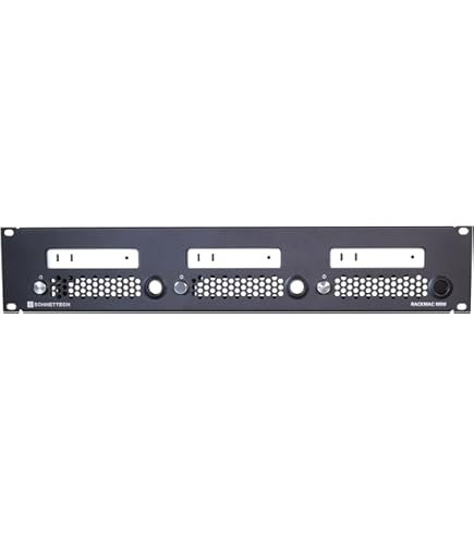Amazon.com: 2018 RackMac mini - 1U Rack Kit for 2 Mac minis (RACK