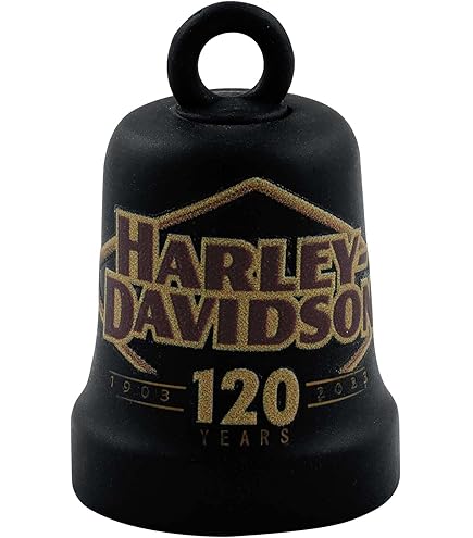 Amazon.com: Harley-Davidson Axel Shape Willie G Skull Ride