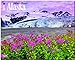 Alaska, Wild & Scenic 2015 Deluxe by 