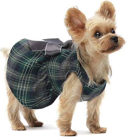 exo terra bearded dragon starter kit