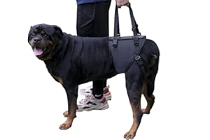 ZDBFu Large Dog Rear Leg Support Harness Designed for Dogs with hind Leg Weakness, Disability, or Injury Assists with Arthritis and Anterior cruciate Ligament Recovery