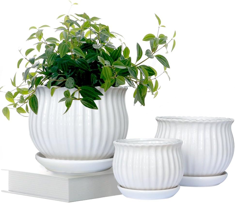 Best Set Of 3 Ceramic Garden Pots