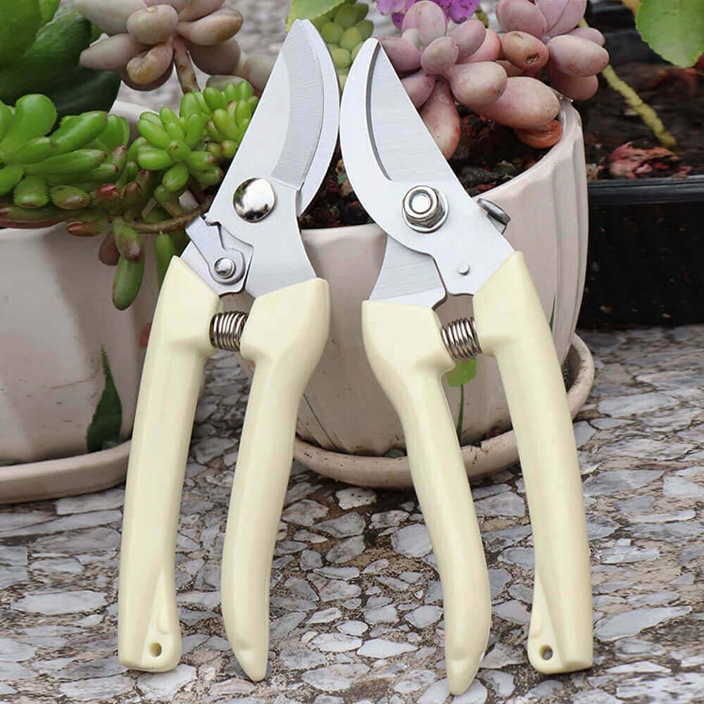Mua BUGUI Bypass Garden Pruning Shears - 2 Pack, Ultra Lightweight Hand ...