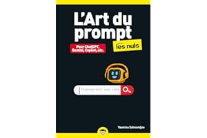 L'Art du prompt pour les Nuls poche (Poche pour les nuls) (French Edition)
