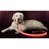 Illumiseen LED Dog Leash - USB Rechargeable - Available in 6 Colors & 2 Sizes - Makes Your Dog Visible, Safe & Seen