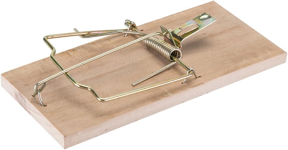 Fixman 197672 Rattenfalle aus Holz, 175 mm: Amazon.de: Auto