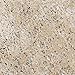 Giani Granite Small Project Paint Kit, Sicilian Sand