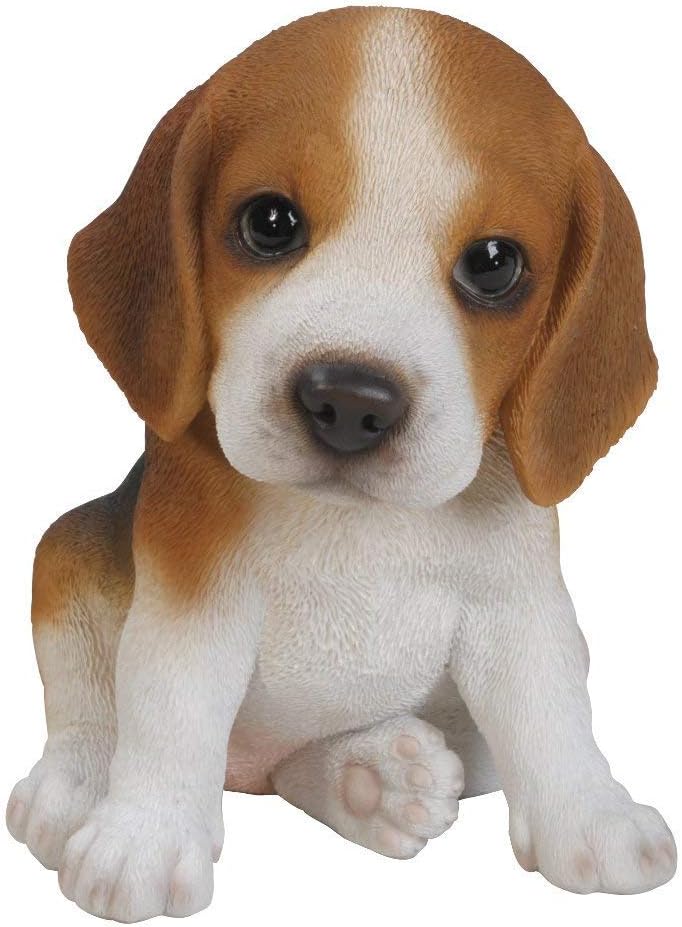 Vivid Arts Pet Pals Beagle Puppy PP-BEAG-F, Multicolor