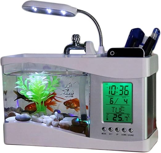 mini desk aquarium