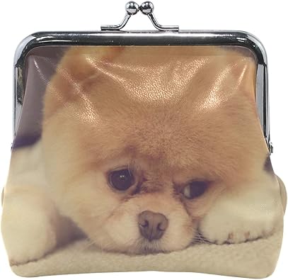 pomeranian purse