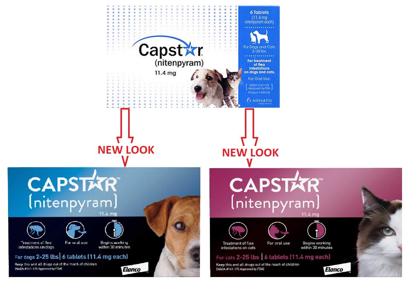 Reviews 4 PACK CAPSTAR Blue for Dogs o225 lbs(24 tablets)