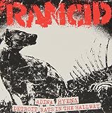 RANCID (RANCID ESSENTIALS 4X7 INCH PACK)           image