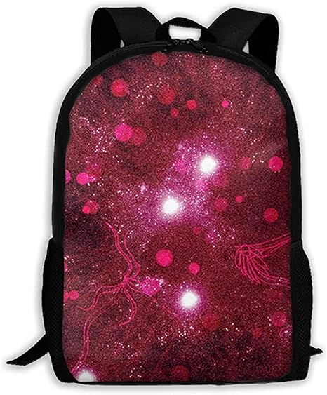 world best school bag company