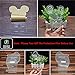 Fortnite Glider 3D Stereo Vision Bedroom Night Light LED Home Decoration USB Touch/Remote Control 16 Color Acrylic Creative Game Character Model Children's Toy Gift (Fortnite Glider)